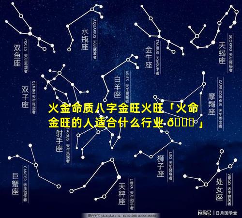 火金命质八字金旺火旺「火命金旺的人适合什么行业 🕊 」